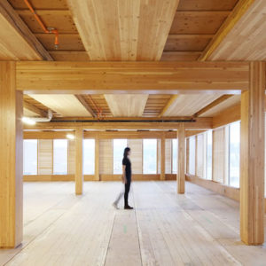 strutture-legno-cnr